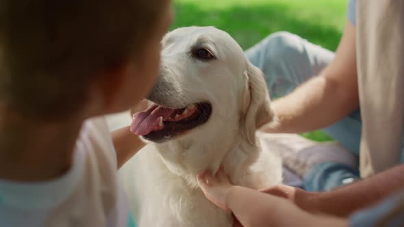 Unknown Hands Caress Dog on Picnic Closeup alt
