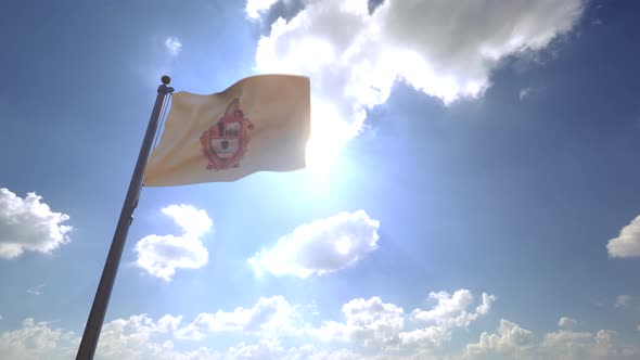 Manaus City Flag on a Flagpole V4 - 4K alt