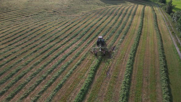Tractor raking grass silage into neat rows for collection to make bales, drone alt