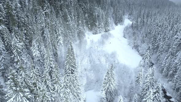 Drone Rising Above Winter Forest Valley