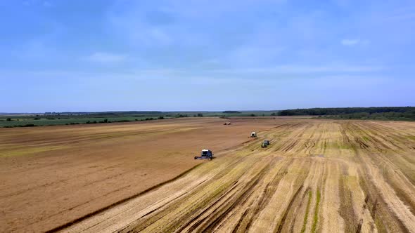 Harvesting of wheat in summer. Two harvesters working in the field. alt