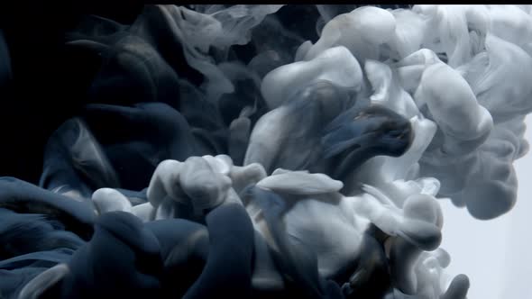 White Color Paint Ink Drops in Water Slow Motion Art Background with Copy Space. Inky Cloud Swirling alt