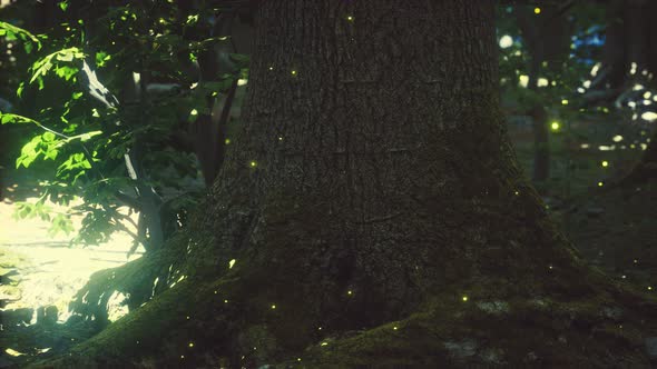 Fantasy Firefly Lights in the Magical Forest alt
