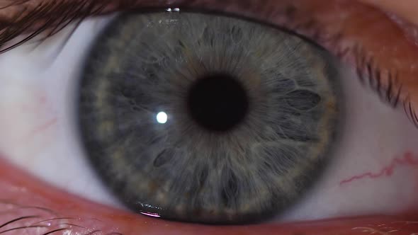 Macro Shot of the Gray Pupil of the Human Eye in Slowmotion alt