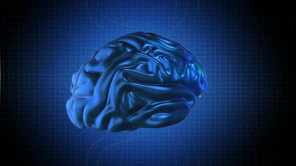 Brain Rotating In Dataflow. Looped Abstract Animation Loop 3 alt
