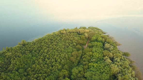 Aerial view of wide Dnister river and green forest alt