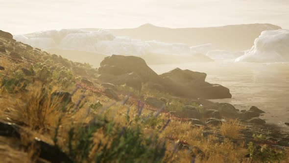Antarctic Icebergs Near Rocky Beach alt