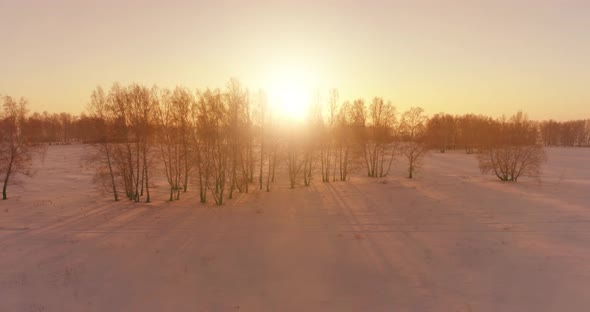 Aerial Drone View of Cold Winter Landscape with Arctic Field, Trees Covered with Frost Snow and alt
