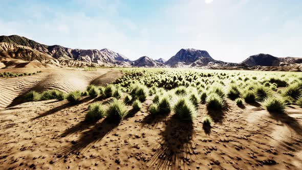 Beautiful Yellow Orange Sand Dune in Desert in Middle Asia alt