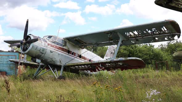 Abandoned And Destroyed Planes Standing in Thick Grass of Overgrown Field