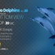 Two Dolphins 10 - VideoHive Item for Sale