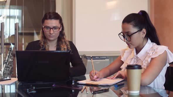 A Team of Two Business Girls Working on a Business Project in the Office alt