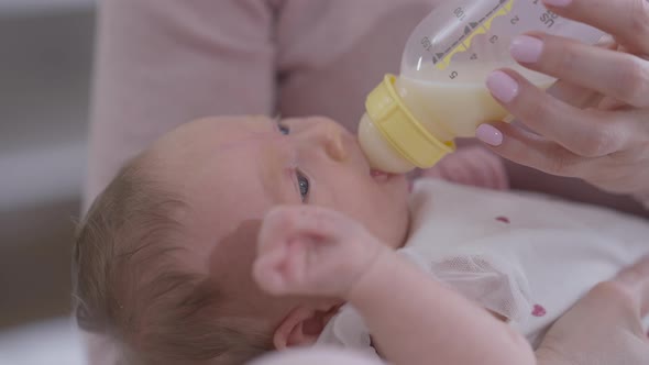 Closeup Portrait Newborn Baby Eating Milk From Bottle Lying in Female Hands alt