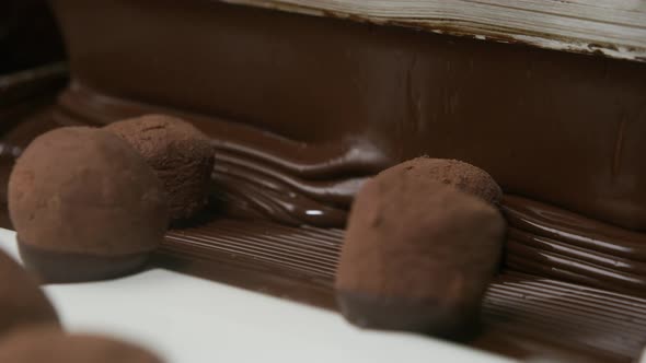 Chocolate truffles on a conveyor belt at candy factory