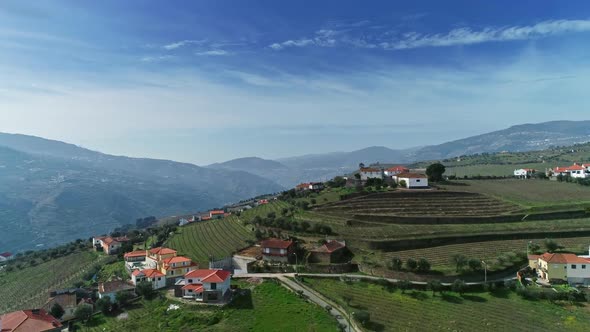 Aerial of Douro Terraced Vineyards in Portugal alt