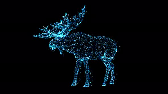 Elk Animate  Particle alt