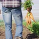 Video of midsection of african american man holding carrots and standing in greenhouse - VideoHive Item for Sale