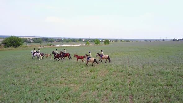 People Ride On Horseback. People riding on horse on the meadow in countryside alt