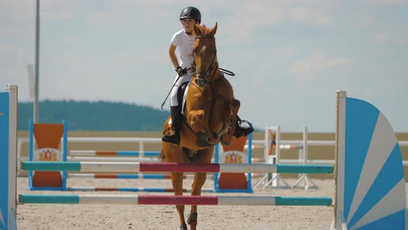 Horse Jumping Over Obstacle on Sandy Parkour Riding Arena Equestrian Competition alt