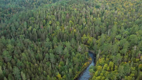 Drone footage flying towards a curve in a river in the forest at dawn. alt