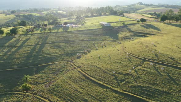 Sunset rural landscape aerial view. Nature scenery alt