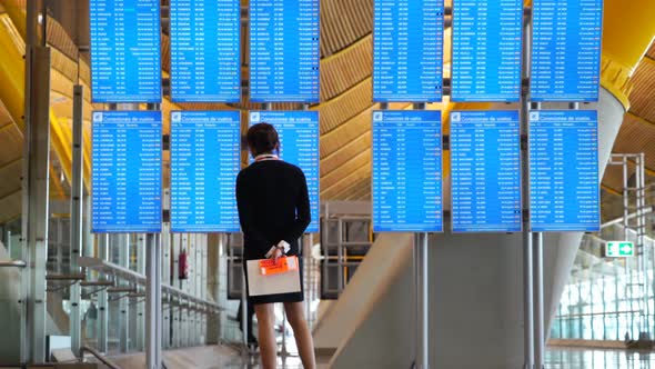 Airport Flights Screen Information