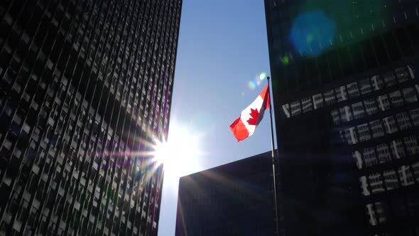 Tall Downtown Office Buildings On Sunny Day With Canadian Flag