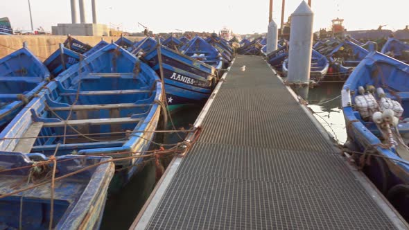 Blue Fishing Boats in Port of Essaouira at Sunset alt
