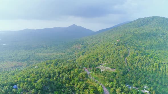 Idyllic Tropical Wood Landscape Aerial Overview alt