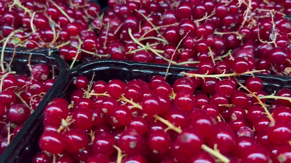 Red Currants On The Counter Slider Shot