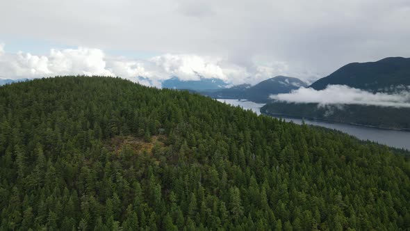 Dense, lush forest covering the mountains and valleys surrounding the Powell River on the Sunshine C alt