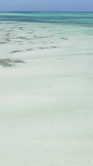 Vertical Video of Low Tide in the Ocean Near the Coast of Zanzibar Tanzania alt