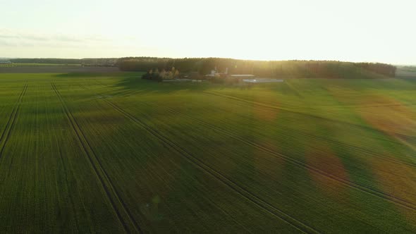 Green Meadow And Farm During Sunset
