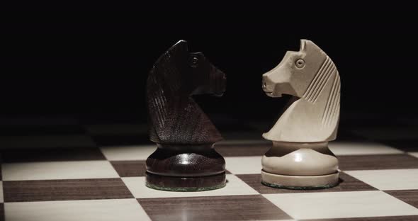 Chess Horses Confrontation