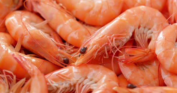 fresh cooked shrimp alt