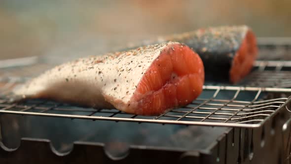 Chef Seasoning Spice Fish.Fried Salmon Fish With Spices.Slow Motion Seasoning Fried Fish On Barbecue alt