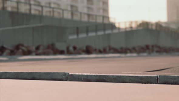 Car Parking on the Beach in California alt