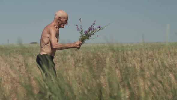 Elderly Man Walks on Wild Field and Holds Purple Flowers