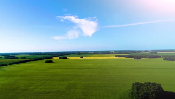 Flying Over The Field