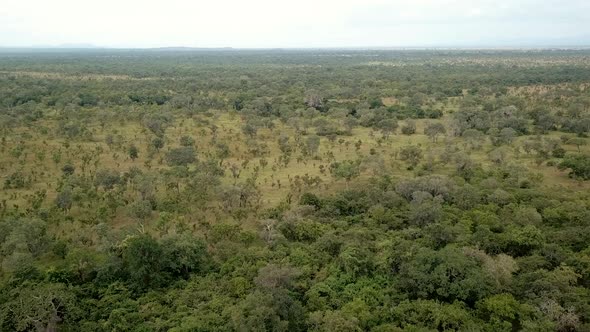 Aerial Shot of the  African Savannah a Mikumi National Park, Tanzania. alt