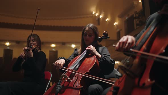 Violoncellists and Violinists are Playing Music on Scene of Philharmonic Hall String Instruments alt