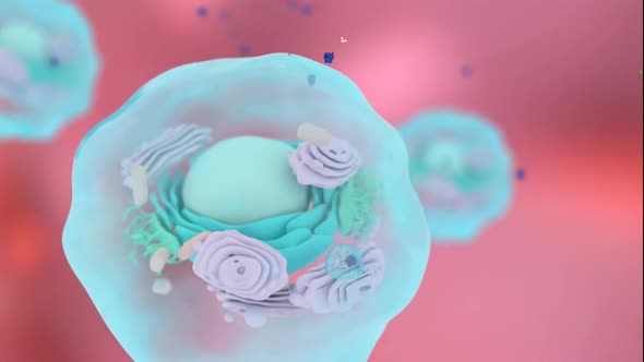 Microscopic image of cells, Cells, Medical video background by picmeta