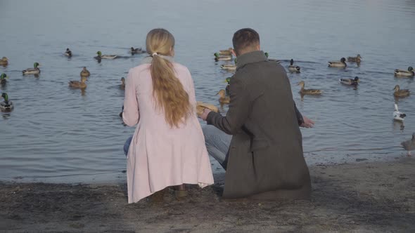 Adult Caucasian Man and Woman in Elegant Outfit Sitting on Riverbank and Throwing Bread for Ducks alt