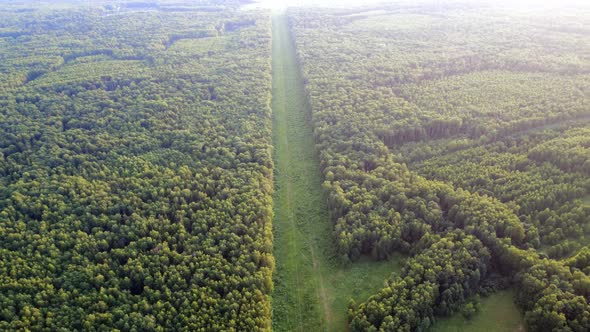 View Into the Distance From the Height of the Forest