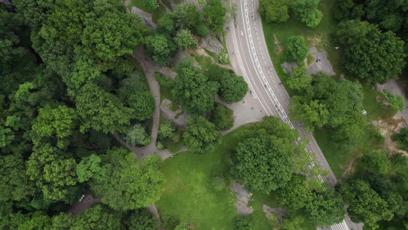 Aerial view above a road in Central Park, summer in cloudy New York, USA - rotating, top down, drone alt