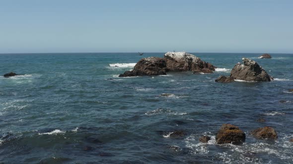 Birds sitting on Arched Rock on the ocean with waves crashing near the Beach Bodega Bay Highway 1 in alt
