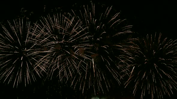 Colorful Firework display at night on sky background alt