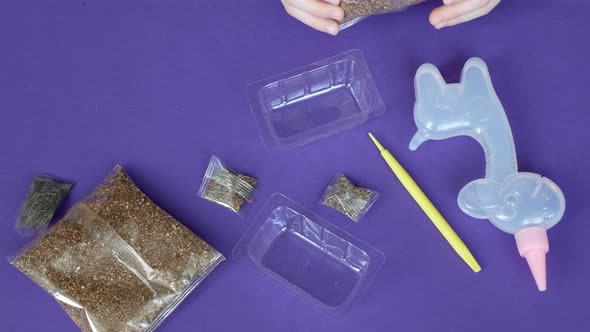 Filling plastic seeding container with soil. Germination of seeds at home. Kid's hobby