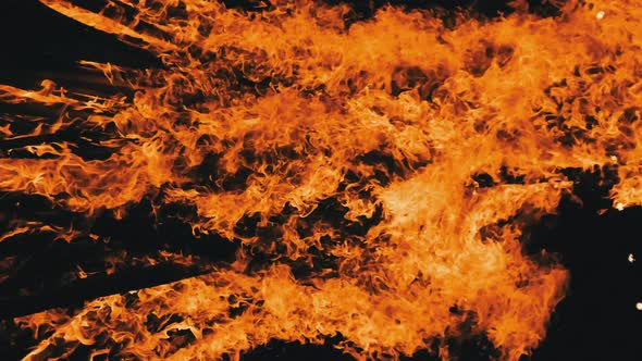 Vertical Video Bonfire Burns at Night on a Black Background on Nature alt