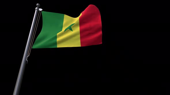 Senegal Flag With Alpha Channel  4K alt